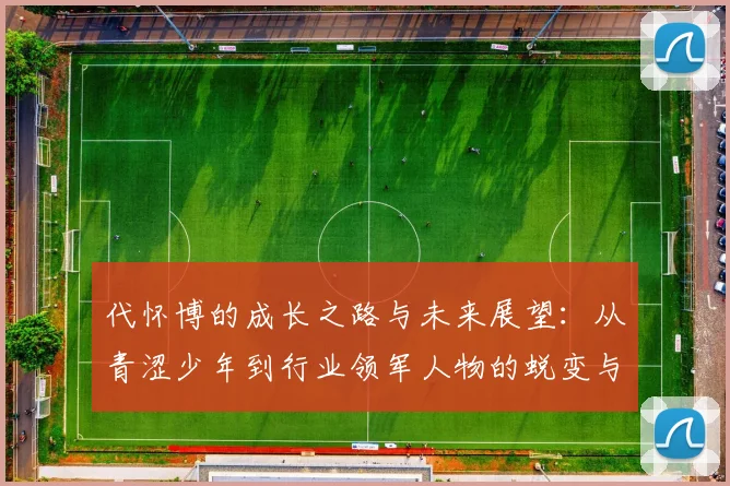 代怀博的成长之路与未来展望：从青涩少年到行业领军人物的蜕变与思考