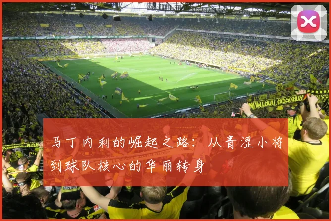 马丁内利的崛起之路：从青涩小将到球队核心的华丽转身
