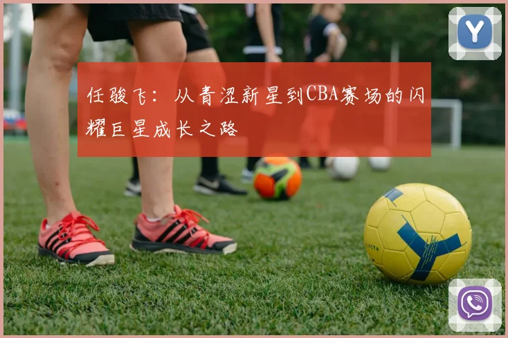 任骏飞：从青涩新星到CBA赛场的闪耀巨星成长之路