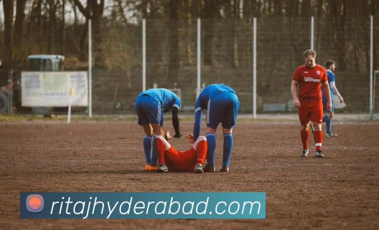 星空体育APP 封面图